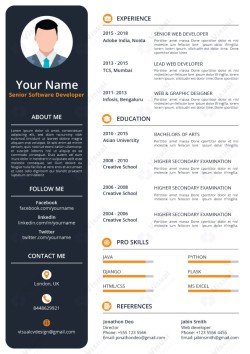 Software Engineer