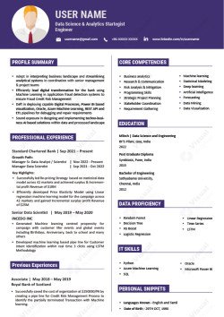Data Science & Analytics Startegist Engineer
