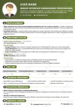Senior Interface Engineer